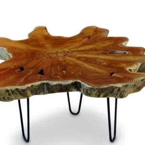 WEDESIGN WEDESIGNWOODART Tables Basses 1 12